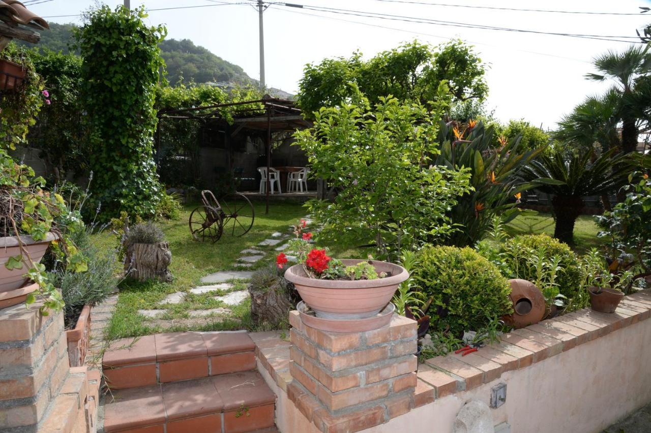 تروبيا B&B Valeri المظهر الخارجي الصورة